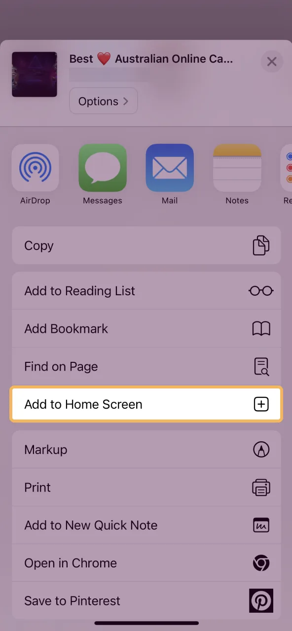 Add Ricky Casino PWA by tapping Share and choosing Home Screen option.