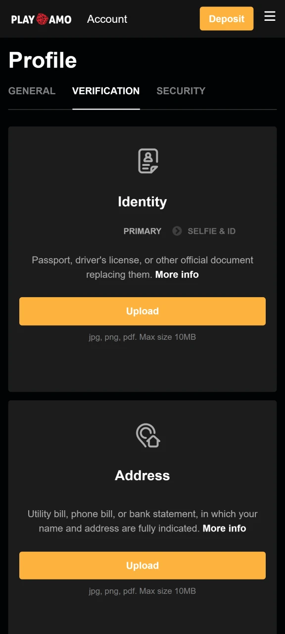 Before playing Chicken Road, verify your Playamo account.